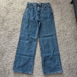 Aritzia Farrah High-Rise Wide Leg Jean